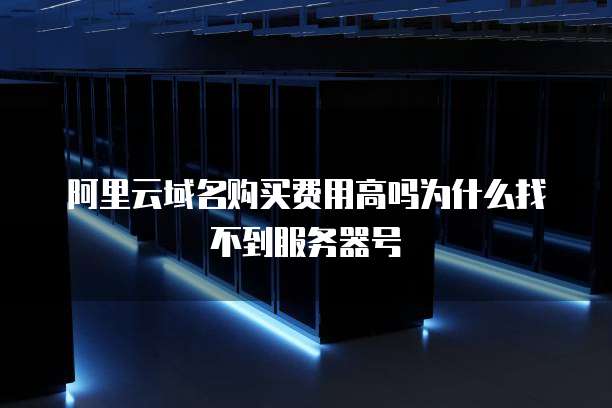 阿里云域名购买费用高吗为什么找不到服务器号