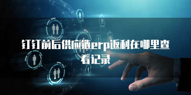 钉钉前后供应链erp返利在哪里查看记录