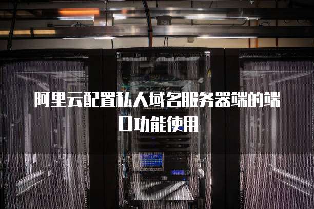 阿里云配置私人域名服务器端的端口功能使用