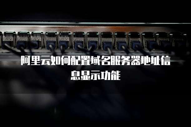 阿里云如何配置域名服务器地址信息显示功能