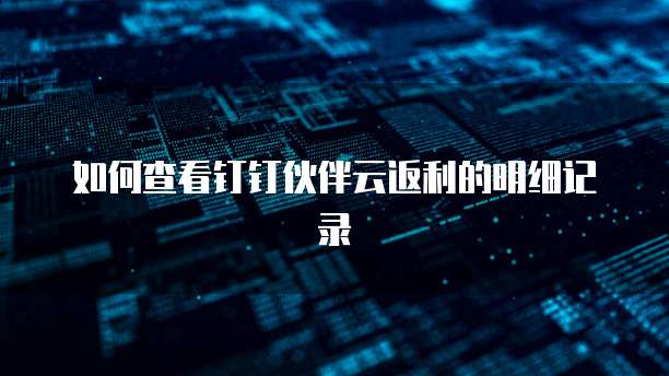 如何查看钉钉伙伴云返利的明细记录