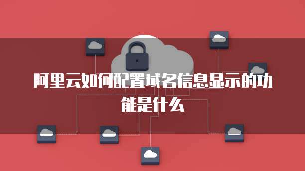 阿里云如何配置域名信息显示的功能是什么