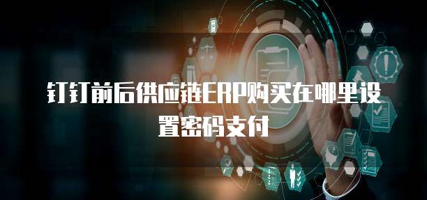 钉钉前后供应链ERP购买在哪里设置密码支付