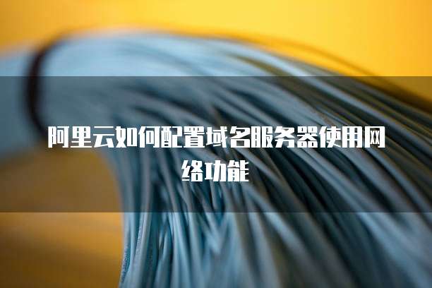 阿里云如何配置域名服务器使用网络功能