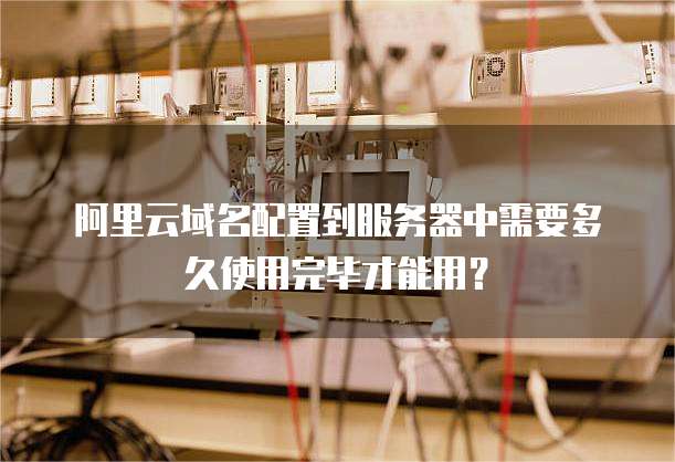 阿里云域名配置到服务器中需要多久使用完毕才能用？