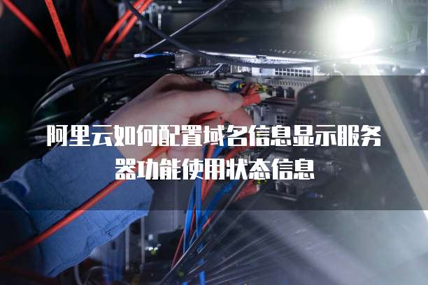 阿里云如何配置域名信息显示服务器功能使用状态信息