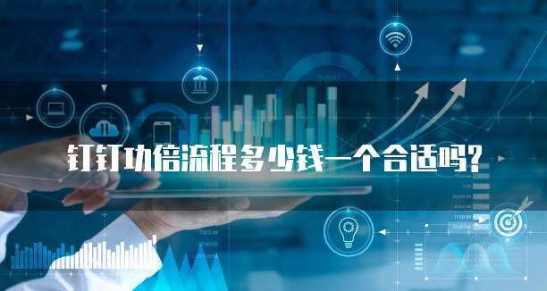 钉钉功倍流程多少钱一个合适吗?