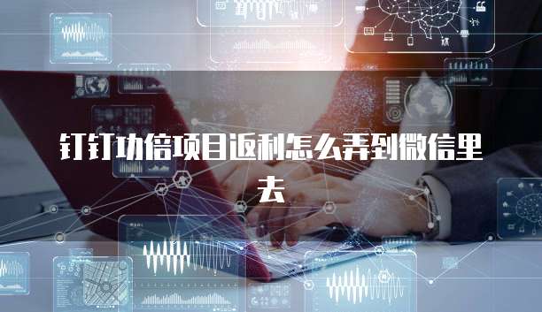 钉钉功倍项目返利怎么弄到微信里去
