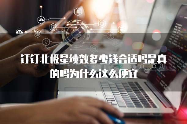 钉钉北极星绩效多少钱合适吗是真的吗为什么这么便宜