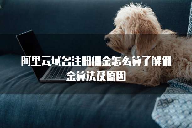 阿里云域名注册佣金怎么算了解佣金算法及原因