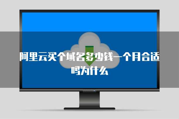阿里云买个域名多少钱一个月合适吗为什么