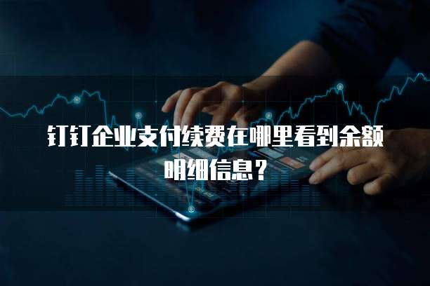 钉钉企业支付续费在哪里看到余额明细信息？