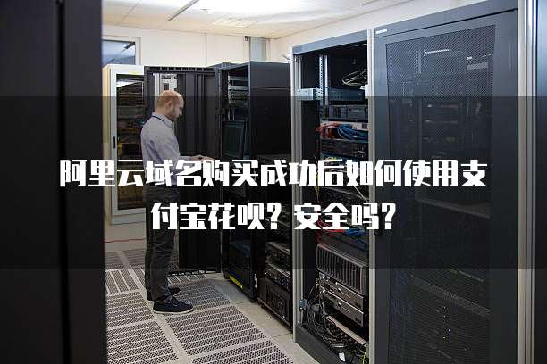 阿里云域名购买成功后如何使用支付宝花呗?安全吗?
