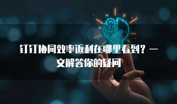 钉钉协同效率返利在哪里看到?一文解答你的疑问