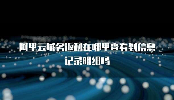 阿里云域名返利在哪里查看到信息记录明细吗