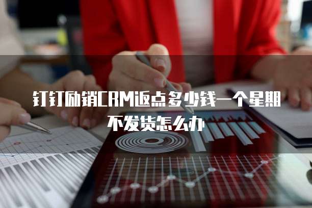 钉钉励销CRM返点多少钱一个星期不发货怎么办