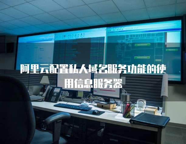 阿里云配置私人域名服务功能的使用信息服务器