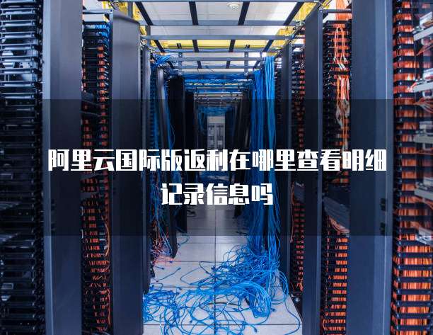 阿里云国际版返利在哪里查看明细记录信息吗