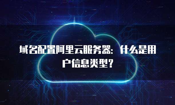 域名配置阿里云服务器:什么是用户信息类型?