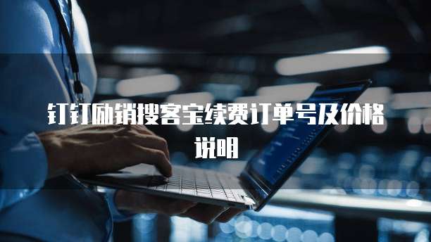钉钉励销搜客宝续费订单号及价格说明