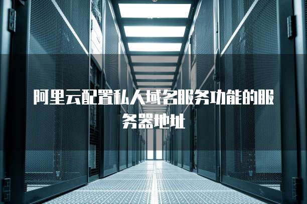 阿里云配置私人域名服务功能的服务器地址