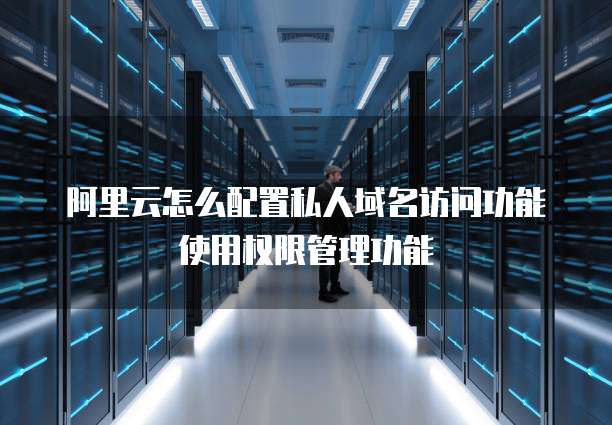 阿里云怎么配置私人域名访问功能使用权限管理功能