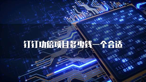 钉钉功倍项目多少钱一个合适