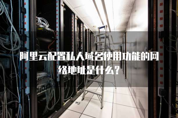 阿里云配置私人域名使用功能的网络地址是什么?