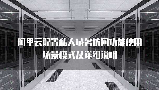 阿里云配置私人域名访问功能使用场景模式及详细说明
