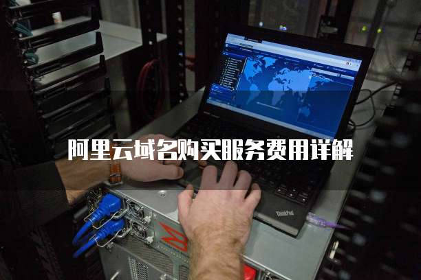 阿里云域名购买服务费用详解