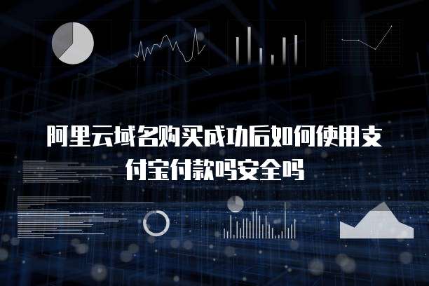 阿里云域名购买成功后如何使用支付宝付款吗安全吗