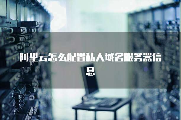阿里云怎么配置私人域名服务器信息