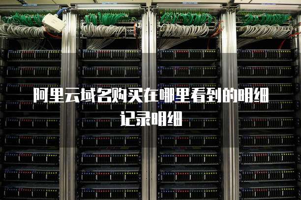 阿里云域名购买在哪里看到的明细记录明细