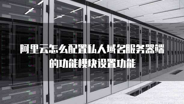 阿里云怎么配置私人域名服务器端的功能模块设置功能