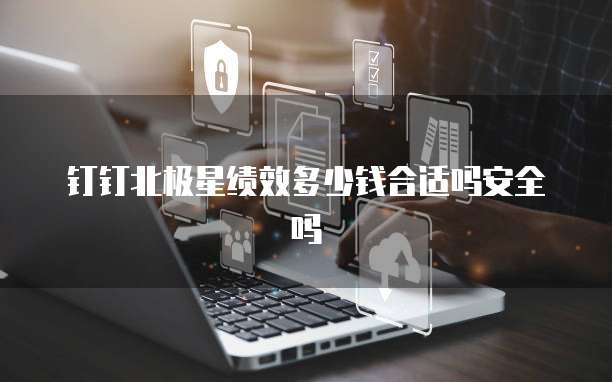 钉钉北极星绩效多少钱合适吗安全吗