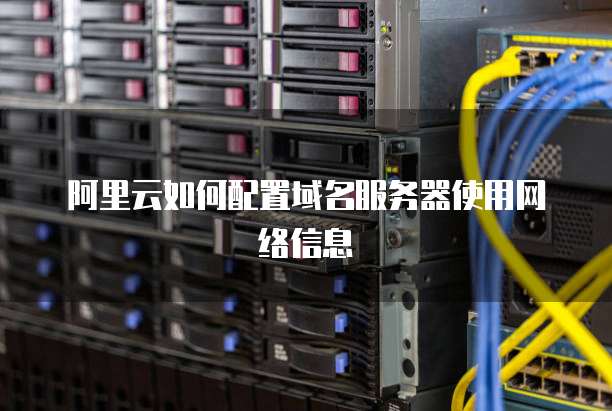 阿里云如何配置域名服务器使用网络信息