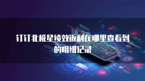 钉钉北极星绩效返利在哪里查看到的明细记录