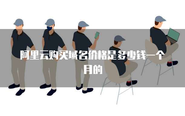 阿里云购买域名价格是多少钱一个月的