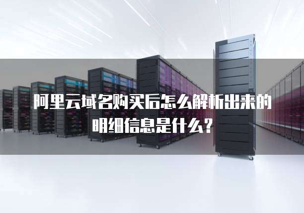 阿里云域名购买后怎么解析出来的明细信息是什么?