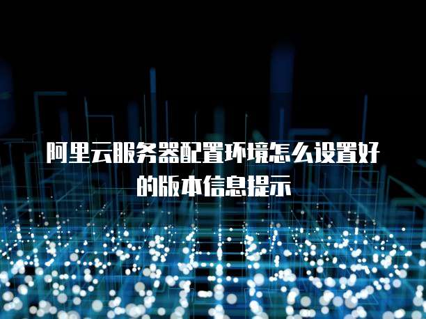 阿里云服务器配置环境怎么设置好的版本信息提示