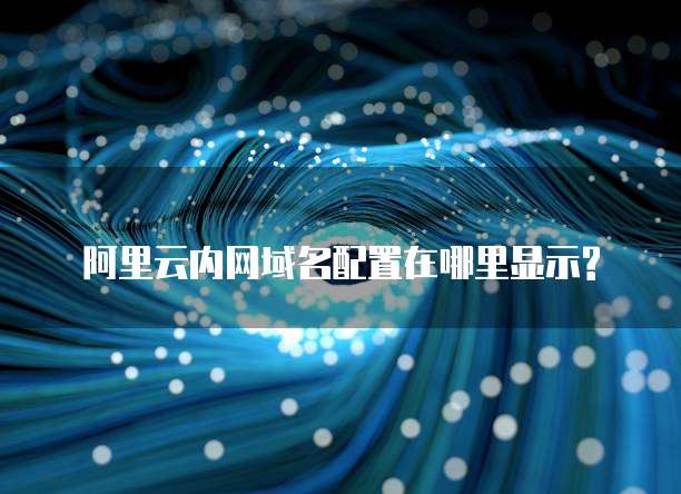 阿里云内网域名配置在哪里显示?