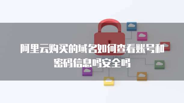 阿里云购买的域名如何查看账号和密码信息吗安全吗