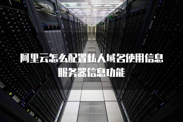 阿里云怎么配置私人域名使用信息服务器信息功能