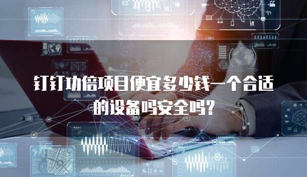钉钉功倍项目便宜多少钱一个合适的设备吗安全吗?