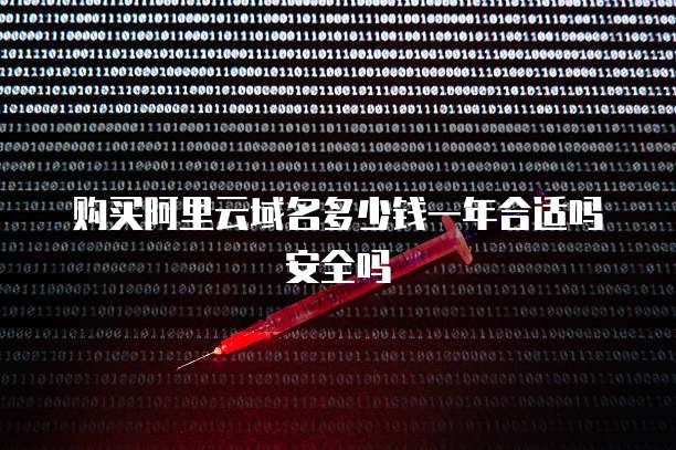 购买阿里云域名多少钱一年合适吗安全吗