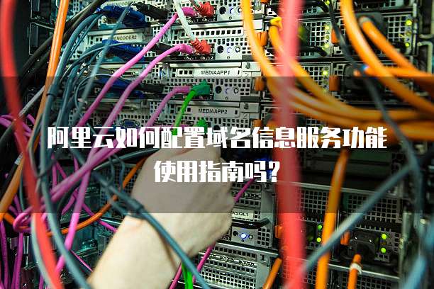 阿里云如何配置域名信息服务功能使用指南吗?