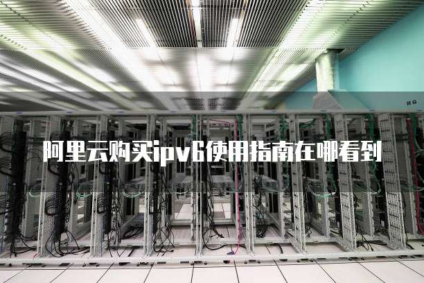 阿里云购买ipv6使用指南在哪看到