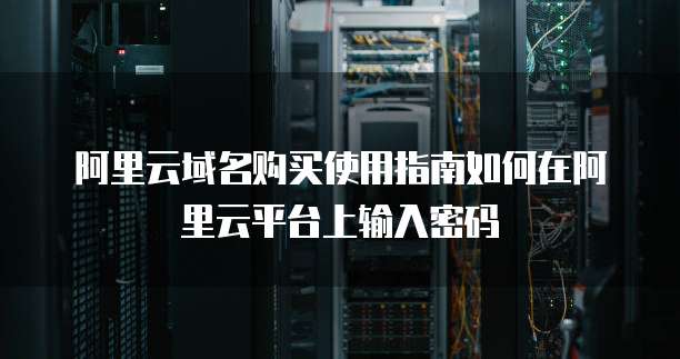 阿里云域名购买使用指南如何在阿里云平台上输入密码