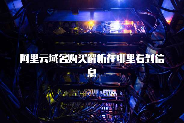 阿里云域名购买解析在哪里看到信息