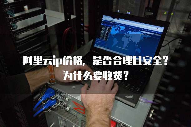 阿里云ip价格，是否合理且安全？为什么要收费？